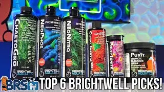 Thomas' Must-Have Brightwell Additives!