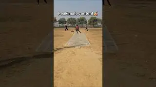 Backyard cricket 🏏🔥 #cricket #backyard #cricketlover #viral #fyp