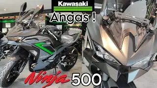 2024 Kawasaki  Ninja 500 -Full Review  at Comparison  ng Standard VS Special edition Anu pipiliin mo