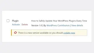 How to Safely Update Your WordPress Plugins Every Time