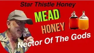 Star Thistle Honey
