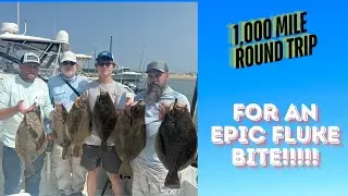 Driving 1,000 Miles R/T for an Epic Fluke Bite!!!!!
