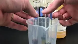 Redox and pH Lab