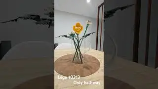 Lego Botanical Collection, #10313