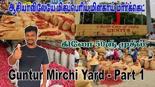 90 ரூபாய்க்கு வாங்கினால் 150 ரூபாய்க்கு விற்கலாம் l Cheap & best wholesale chilli Market in Guntur
