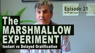 Episode 21: The Stanford Marshmallow Experiment and Addiction