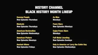 [adult swim] History Channel BHM Lineup