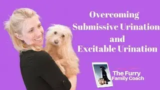 How To Help Your Dog Overcome Submissive Urination Excitable Urination Dog Training