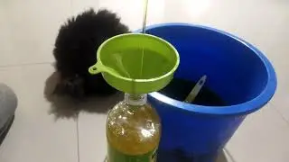 DIY DISHWASHING LIQUID NG WISE CLEANER