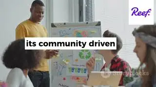 REEF CHAIN, YOUR ALL-IN-ONE CRYPTO PROJECT