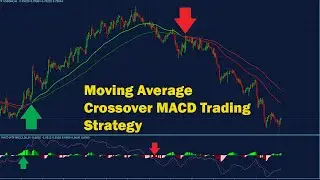 Moving Average Crossover MACD Trading Strategy|best EMA crossover strategy Metatrader4 Free Download