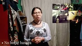 Licencia tipo C aulas 3-4N DIC 2025 - JUNIO 2026    EDUCACI&Oacute;N AMBIENTAL- PAULINA SAENZ