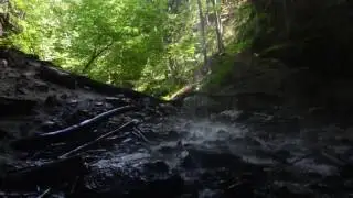 Tannery Falls