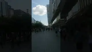 Zeil Caddesi Frankfurt.