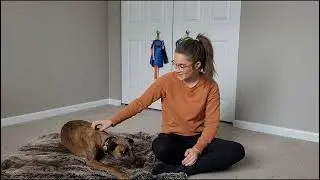 Up and Down Game