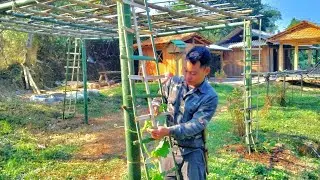 A livable WOODEN house is being built and renovated under the talented hands of ME - THANH artisan.