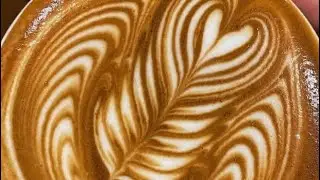 #latteart #tulip #fineline #rosetta #baristalife #coffee