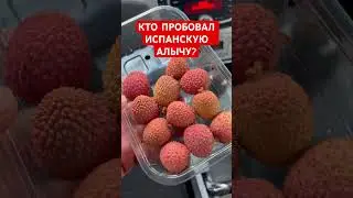 КТО ПРОБОВАЛ ИСПАНСКУЮ АЛЫЧУ? #valencia