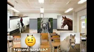 Marabou is the new student in the horse class😂😂😂😂#horses #horse #2024 #edit #editing #edits