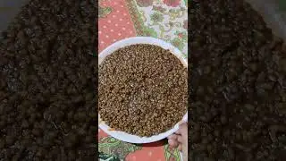 Asa khaema muga sijha...#shorts #viral #viralvideo #shortvlog #vlog #vlogs