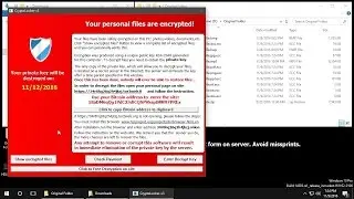 AppCheck Anti-Ransomware : TeslaCrypt Ransomware(.ecc) 차단 영상