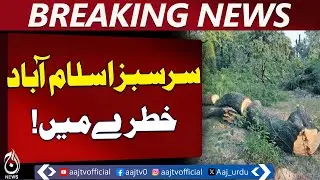 Islamabad Greenery at Risk | Deforestation in Shakarparian | Forest Loss - Aaj Pakistan News