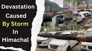 Devastation caused by storm in Himachal, many vehicles damaged due to falling trees