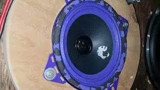 DL Audio Piranha 100 v2 просто отличный широкополосник в своём размере