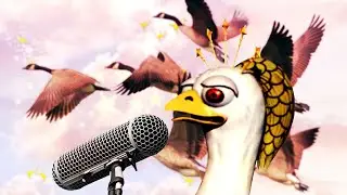 Queen Banana Bird Voice Acting in DKC3 GBA