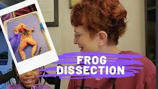 Homeschool Science / Frog Dissection