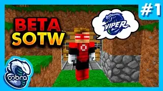 Cobra Custom Teams - Beta Map SOTW (w/ facecam)