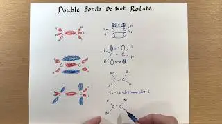 Double Bonds Do Not Rotate