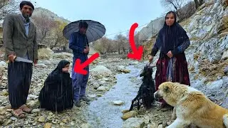 ⚡ The merciless rain destroyed the nomads' sheep! The day everything went wrong ⛈️💔😱