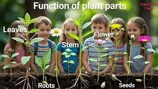 Functions of Plant Parts: Root, Stem, Leaf, Flower | पौधों के भागों के कार्य | Fun Science for Kids