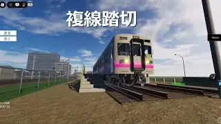 複線踏切に行ってきた！