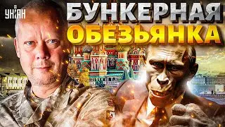Путин на старости лет ЧОКНУЛСЯ! Русские ОТХВАТИЛИ люлей: бункерная крыса В ПАНИКЕ. Фестиваль МАРАЗМА