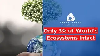 Only 3% of World&rsquo;s Ecosystems Intact | Karma Pluss - A Complete Recycle Solution