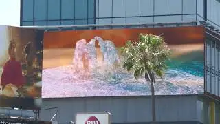 Water Palm Tree Art Pendry Hotel Billboard Sunset Blvd Los Angeles California USA June 8, 2025