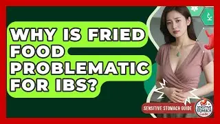 Why Is Fried Food Problematic For IBS? - Sensitive Stomach Guide