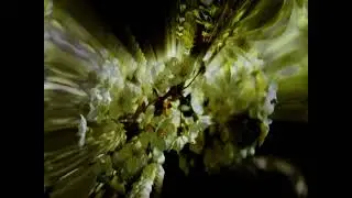 Nena Parti - Alchemy