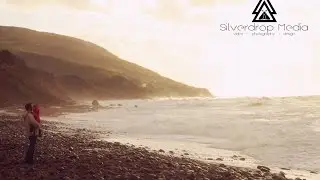 Running Free in Cape Breton: Visit Pleasant Bay!