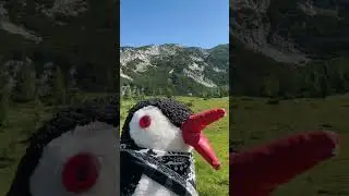 #633 - Grazer H&uuml;tte, Tauplitzalm plateau, Austria  #penguinstones  #travel #austria