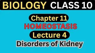 Disorders of Kidney | Chapter 11 Homeostasis | Lecture 4 | Class 10 Biology