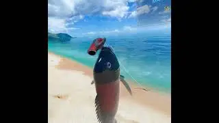 Real fishing vr: How to catch California sheephead