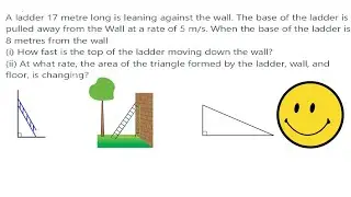 Problem 2 : Ladder Problem - Differential calculus, Pythogorean theorem, Relative rates
