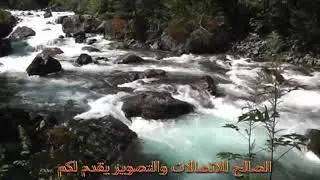 ملوك عتابا وسويحلي و شحشباوي النجم الكبير عبد الرحيم السلوم ابو عطا والنجم المتالق ياسين العليوي