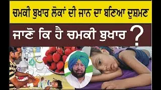 ਚਮਕੀ ਬੁਖਾਰ ਲੋਕਾਂ ਦੀ ਜਾਨ ਦਾ ਬਣਿਆ ਦੁਸ਼ਮਣ | Chamki Bukhar | Press Public