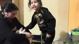 16 ianuarie 2026