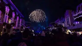 Happily Ever After Fireworks-Disney's Magic Kingdom-November 30, 2024.  4K