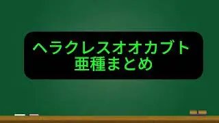 ヘラクレスオオカブト　全１３種類 　簡単解説　#解説　#カブトムシ